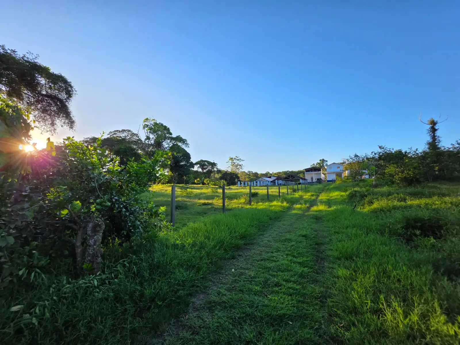 Imagem da fazenda fundadora